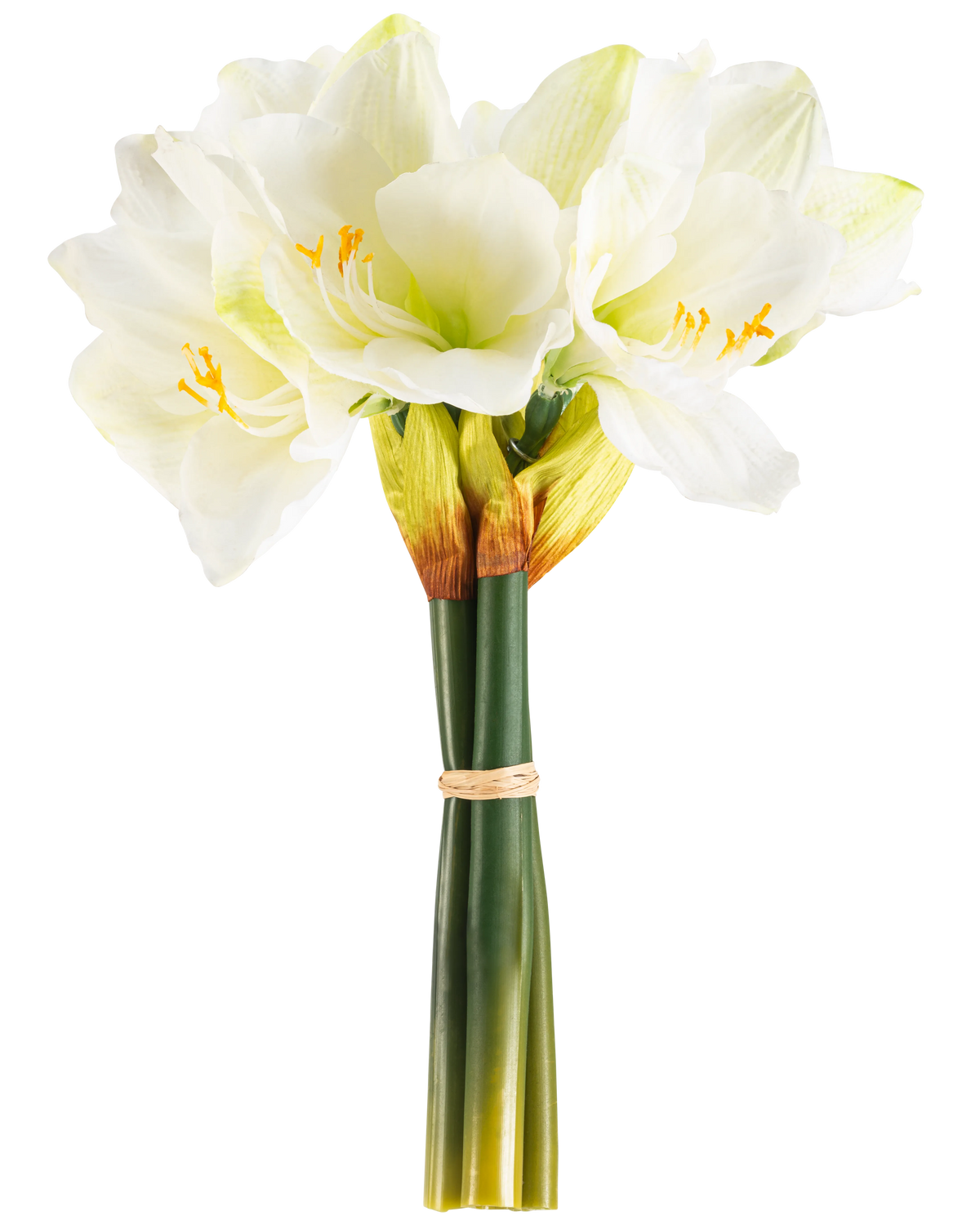 Den konstgjorda blomman Amaryllis Real Touch vit 36 ​​cm har verklighetstrogna vita amaryllisblommor med ljusgröna mittpunkter och gula ståndare, knutna med ett beige band runt gröna stjälkar, perfekt mot en vanlig vit bakgrund.