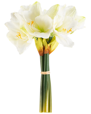 De Kunstbloem Amaryllis Real Touch wit 36 cm heeft levensechte witte amaryllisbloemen met lichtgroene hartjes en gele meeldraden, gebonden met een beige band rond groene stelen, perfect tegen een effen witte achtergrond.