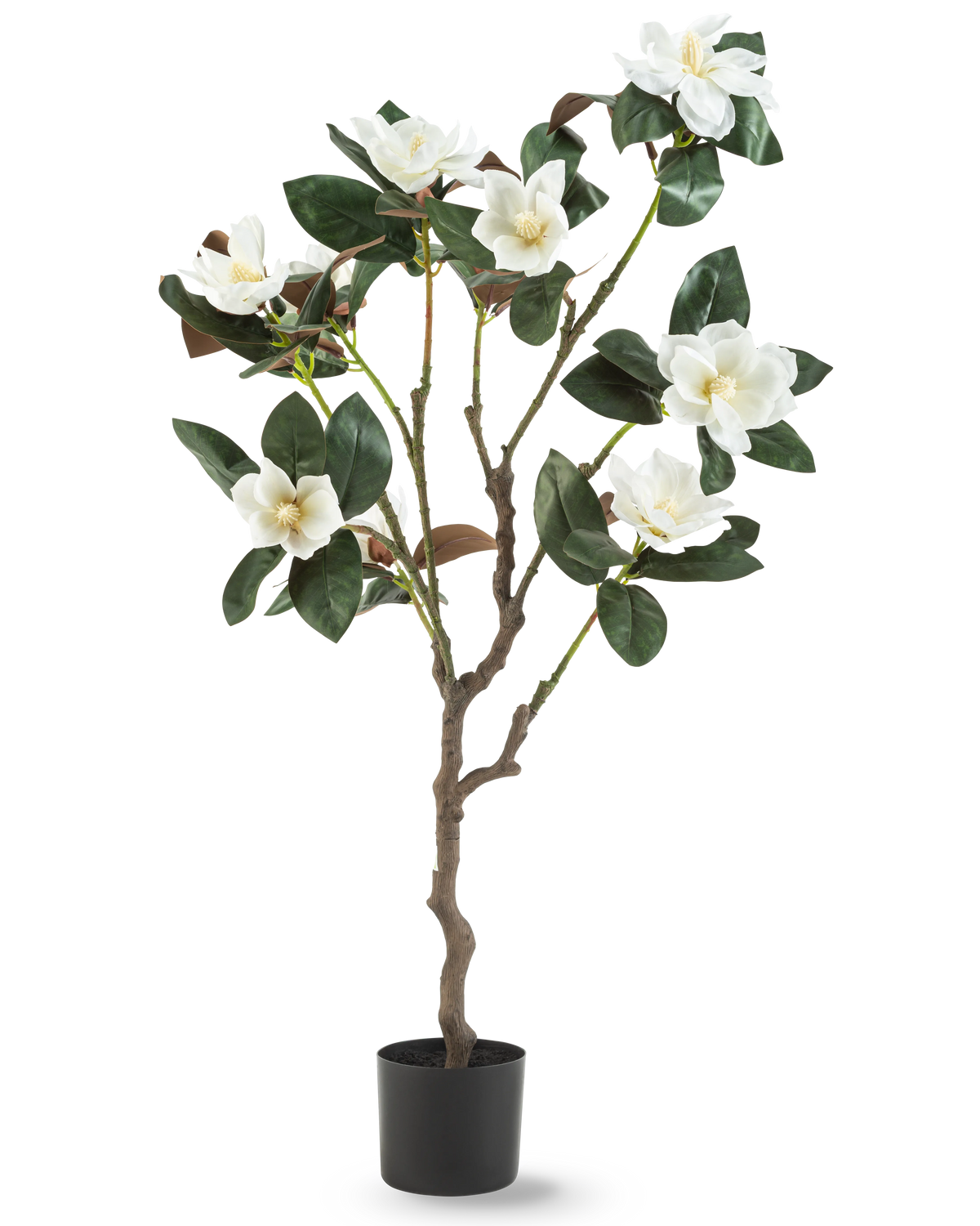Den konstgjorda Yulania-växten 120 cm med blomma är ett konstgjort magnoliaträd i en kruka med flera grenar, stora glänsande gröna blad och flera vita blommor mot en vanlig vit bakgrund.