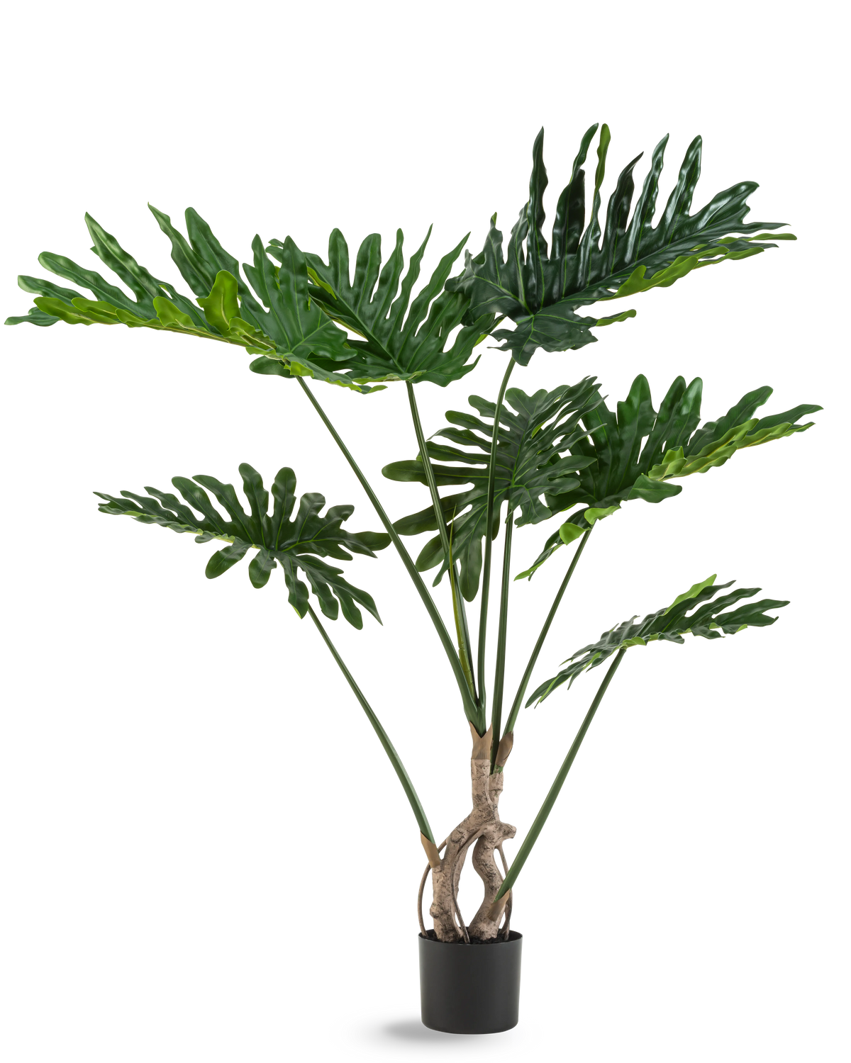 Den konstgjorda växten Philodendron 120 cm har stora, glänsande, djupt skurna gröna blad och flera långa stjälkar med en vriden stam, mot en vanlig vit bakgrund.