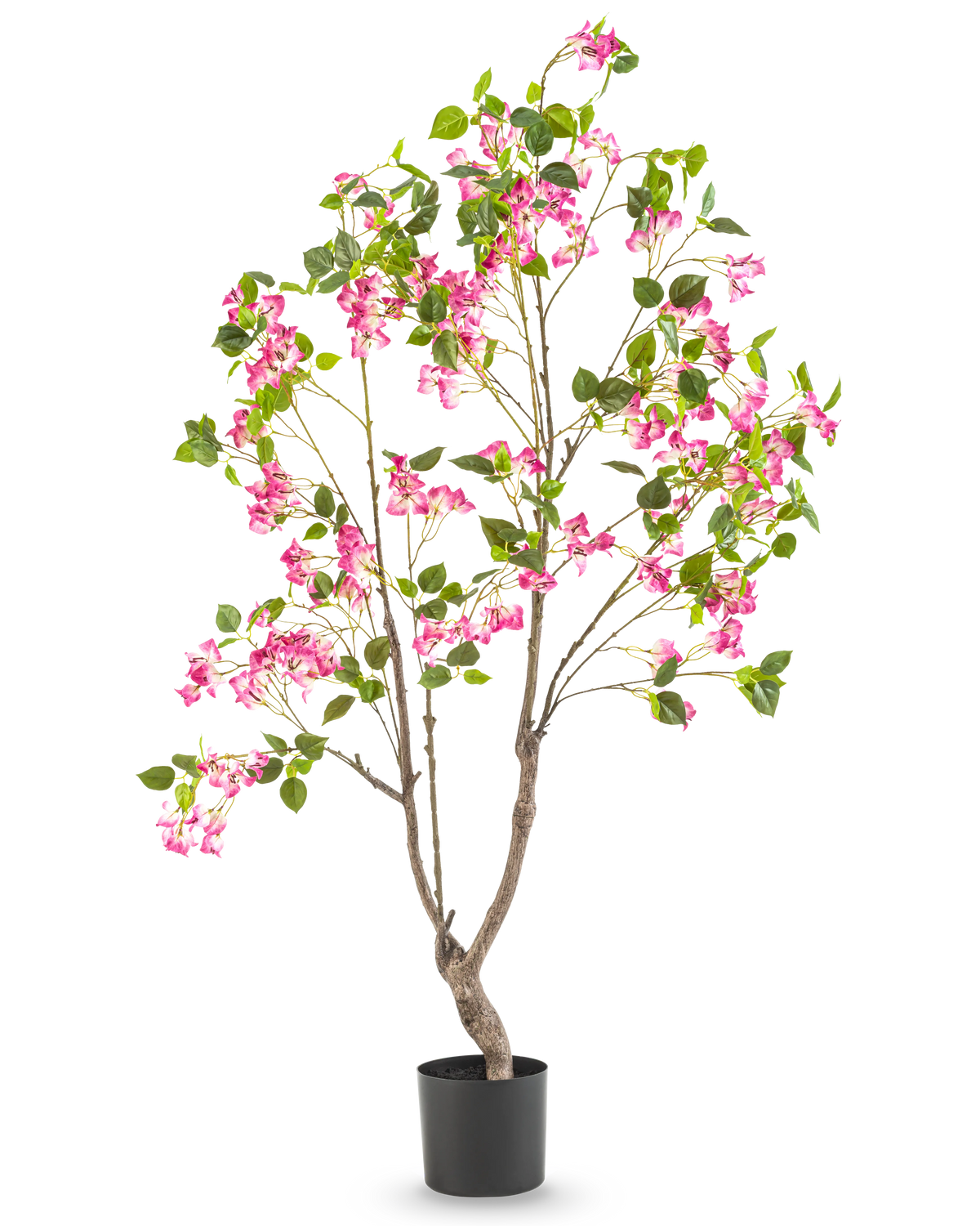 Artificiell Bougainvillea 150 cm är en hög konstgjord växt med flera grenar, gröna blad och livfulla rosa blommor i en svart kruka, mot en vanlig vit bakgrund.