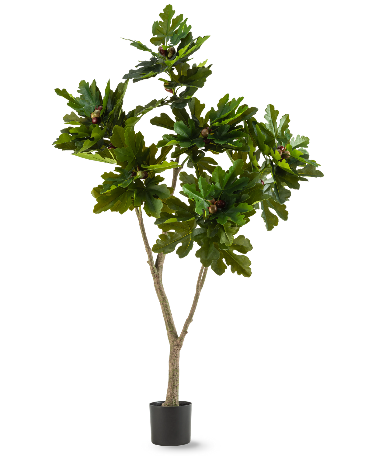 Konstgjorda växten Ficus Carica fikonträd 180 cm är en konstgjord växt i kruka med breda, glänsande gröna blad och små bruna frukter, som liknar ett fikonträd, mot en vit bakgrund.