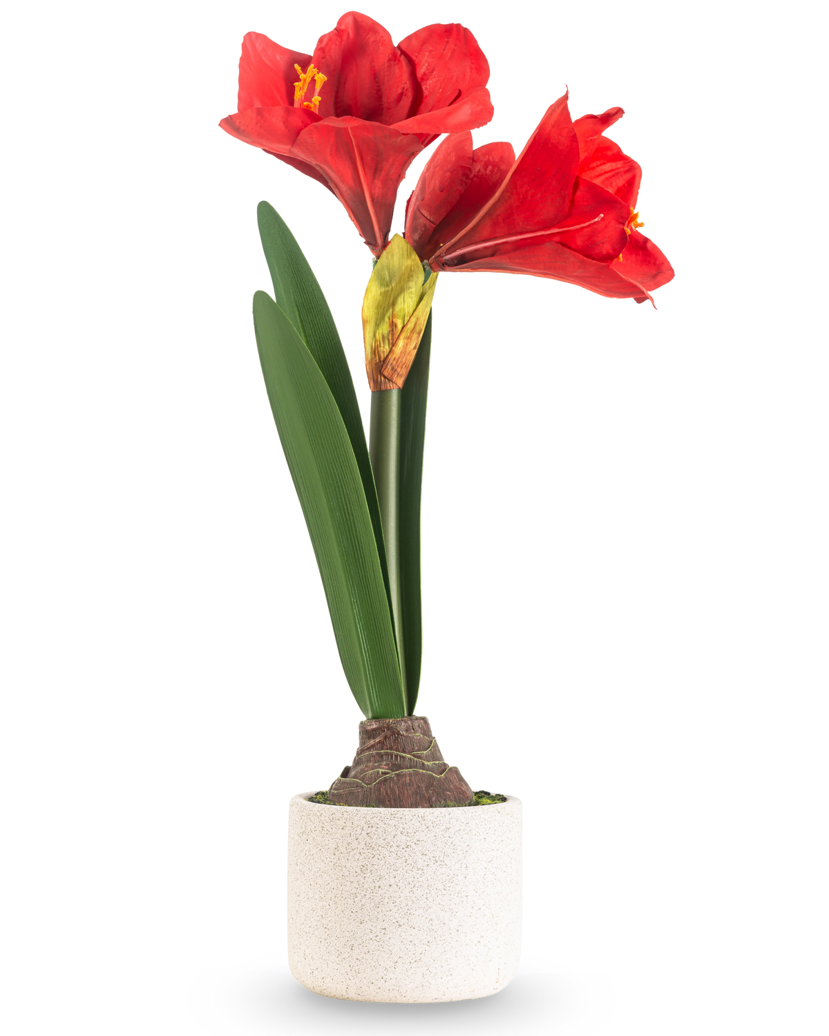 Den konstgjorda blomman Amaryllis Real Touch röd 48 cm har två stora röda blommor och långa gröna blad, presenterade i en enkel kruka med vit struktur mot en vanlig ljus bakgrund.