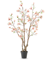 Konstgjorda växten Magnolia 220 cm är ett konstgjort magnoliaträd i kruka med flera bruna grenar, ljusrosa blommor och gröna blad i en enkel svart kruka mot vit bakgrund.