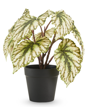Konstgjord Begonia i kruka grön 25 cm UV