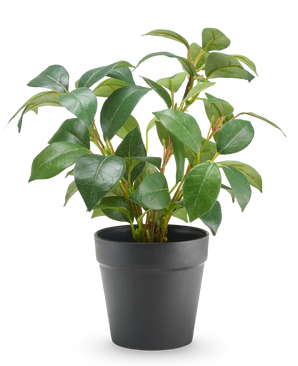 Konstgjord Jasmine-växt i kruka 25 cm UV