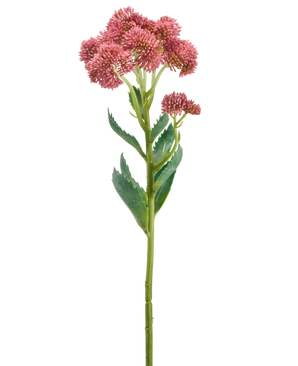 En enda stjälk av den artificiella blomman Sedum 57 cm lila har klasar av små, stjärnformade lila blommor och gröna blad, avbildade mot en vit bakgrund.