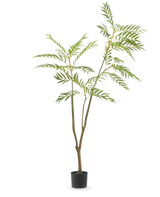 De Kunstplant Mahonia 180 cm is een hoge kunstplant met slanke stengels en lange, smalle groene bladeren in een eenvoudige zwarte pot, afgebeeld tegen een effen witte achtergrond.