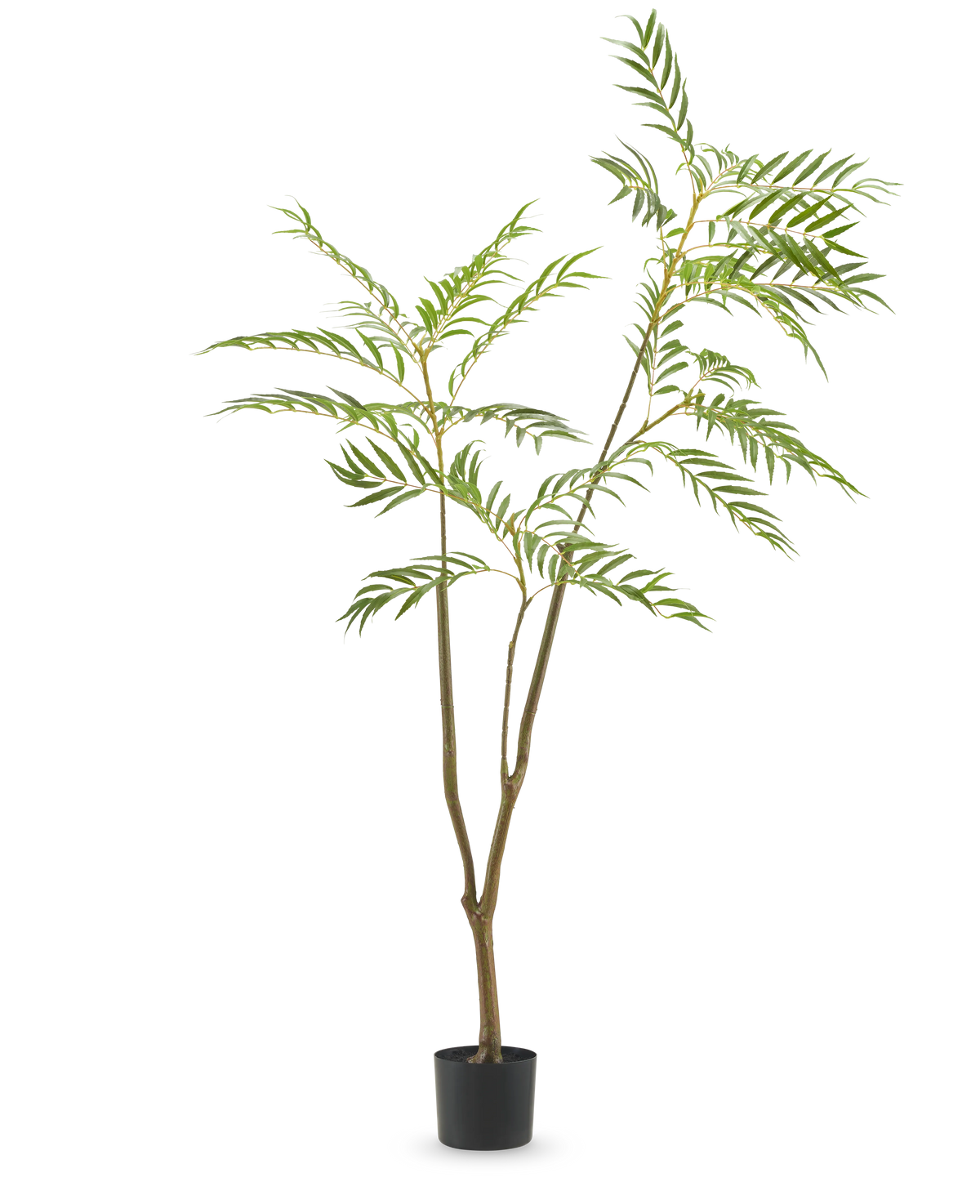 Den konstgjorda växten Mahonia 150 cm är ett högt konstgjort träd i en kruka med smala bruna stammar och långa, smala gröna blad, avbildad mot en vanlig vit bakgrund.