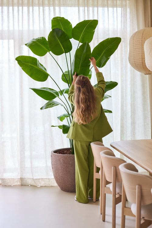 En person med långt vågigt hår, iklädd grön kostym, står inomhus och sträcker sig upp för att justera de stora bladen på den konstgjorda växten Strelitzia 240 cm real touch, som är uppställd bredvid ett matbord med trästolar och genomskinliga gardiner i bakgrunden.