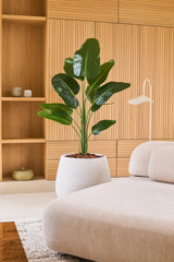 En konstgjord Strelitzia-växt 150 cm real touch2 med naturtrogna löv står bredvid en modern beige soffa i ett rum med träpanel och inbyggda hyllor dekorerade med minimalistiska dekorationer.