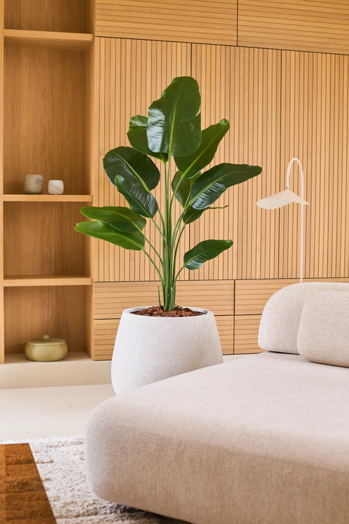 En konstgjord Strelitzia-växt 150 cm real touch2 med naturtrogna löv står bredvid en modern beige soffa i ett rum med träpanel och inbyggda hyllor dekorerade med minimalistiska dekorationer.