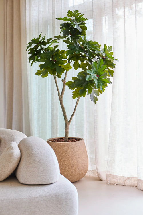 Ett 180 cm konstgjort Ficus Carica-fikonträd, med livfulla gröna löv, står nära ett fönster med vita, skira gardiner, bredvid en ljusbeige, modern, svängd soffa.
