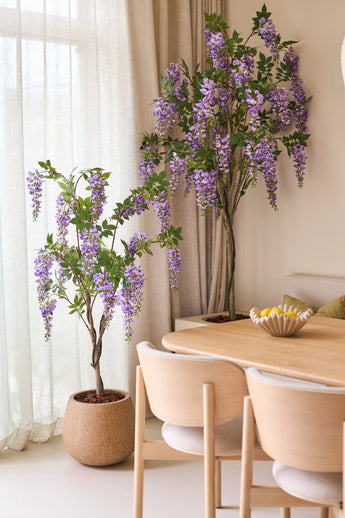 Twee Kunstplant Blauweregen van 150 cm, met hun overhangende paarse bloemen, staan naast een houten eettafel met lichte stoelen. Zacht natuurlijk licht valt door de doorschijnende gordijnen achter de planten naar binnen.