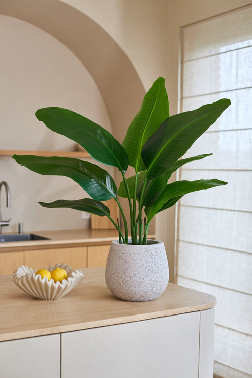 En artificiell Strelitzia Real Touch Deluxe-växt som mäter 90 cm, med naturtrogna gröna blad, står på en ljus bänkskiva bredvid en dekorativ skål med citroner. I bakgrunden syns ett handfat, hyllor och ett stort fönster med nätgardiner. Denna 90 cm konstgjorda växt ger rummet en livlig, naturlig look.