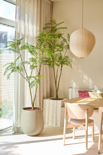 Een lichte, moderne eethoek met een groene potplant van Kunstplant Mahonia (180 cm), een lichte houten tafel en stoelen, beige gordijnen, een hanglamp in de vorm van een papieren lantaarn en natuurlijk zonlicht dat door de hoge ramen naar binnen stroomt.