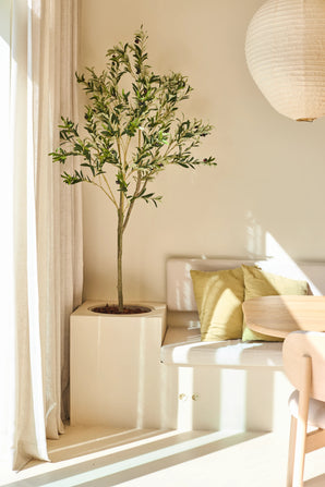 De Kunst Olijfboom van 150 cm staat naast een wit bankje met groene en beige kussens, vlakbij een ronde houten tafel en een hangende papieren lamp in een zonovergoten, minimalistische kamer.