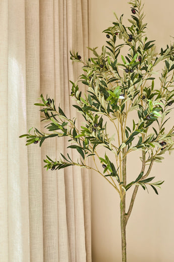 Ett konstgjort olivträd på 150 cm, dekorerat med mörka oliver, ser attraktivt ut inomhus bredvid beige gardiner och en ljusbrun vägg, och ger en lugn och naturlig look - perfekt för alla interiörer med ett olivträd.