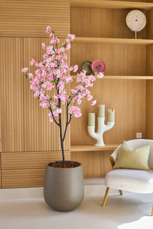 En konstgjord körsbärsblomma 180 cm rosa, ett krukträd med rosa blommor, står bredvid en vit stol med kuddar i ett modernt rum med trähyllor och prydnadsföremål.