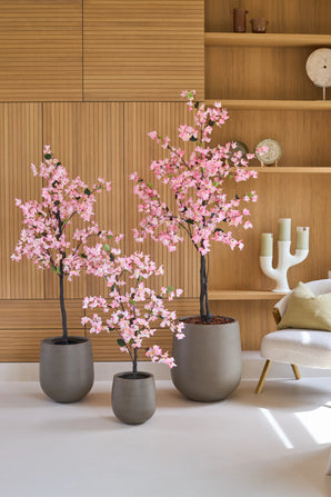 Tre konstgjorda bougainvilleor på 180 cm, rosa till färgen och med rosa blommor, står framför vägghyllor i trä, bredvid en modern vit stol med dyna.