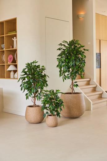 Tre krukväxter i krukor av olika storlekar, inklusive den konstgjorda växten Ficus Green 90 cm, är arrangerade på ett ljust golv nära en trappa, med trähyllor och hemtillbehör i bakgrunden – ett idealiskt arrangemang av kontorsväxter för alla moderna arbetsplatser.