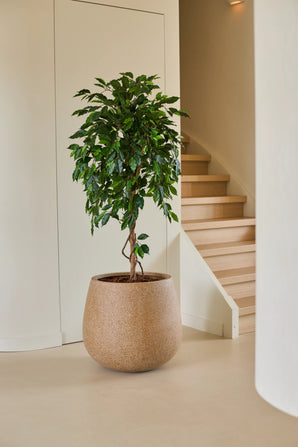 Een Kunstplant Ficus Groen van 150 cm, met zijn glanzende groene bladeren, staat op een lichte vloer naast een houten trap en crèmekleurige muren in een moderne, minimalistische woning. Deze stijlvolle kunstficus voegt een vleugje levendig groen toe aan het verfijnde interieur.