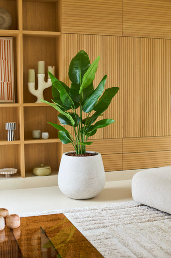En stor konstgjord växt Strelitzia Real Touch Deluxe på 150 cm i en vit kruka står på ett ljust golv i ett modernt vardagsrum med träpanel, hyllor och en inredning i neutrala toner, vilket ger detta raffinerade utrymme ett elegant, verklighetstroget utseende.