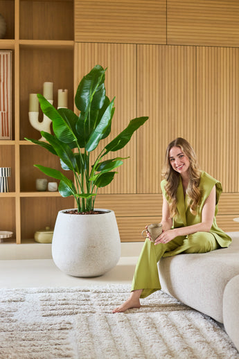 En kvinna i en ljusgrön outfit sitter barfota på en soffa och ler och håller i en mugg. Bredvid henne står den konstgjorda växten Strelitzia Real Touch Deluxe 150 cm, medan träplankor och dekorativa föremål ger bakgrunden ett varmt utseende.