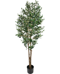 Konstgjort olivträd 180 cm UV