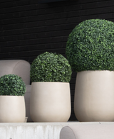 Drie Kunstplant Buxus Romeinse stijl UV D40cm vormbomen in beige plantenbakken staan in een rij voor een zwarte houten muur en lichtgrijze stoelen.