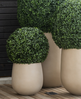 Drie Kunstplant Buxus romeinse stijl UV D40cm plantenbakken zijn voorzien van perfect gesnoeide, ronde groene struiken. Ze staan op een houten oppervlak tegen een donkere wand met houten panelen en creëren een moderne en decoratieve display.