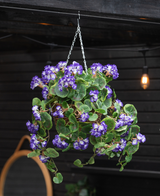 Artificiell Begonia lila i korg UV 70cm hänger från en kedja och visar frodiga gröna blad och livfulla lila och vita blommor. Bakom den fullbordar en mörk trävägg och en glödande lampa scenen.
