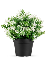 Konstgjorda växten Fyrklöver vit UV 22 cm är en svart blomkruka med konstgjorda gröna blad och små vita blommor på en vanlig vit bakgrund.