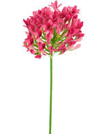 Konstgjord Agapanthus 77 cm rosa