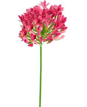 Konstgjord Agapanthus 77 cm rosa