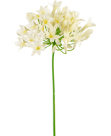 Konstgjord Agapanthus 77 cm vit