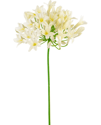 Konstgjord Agapanthus 77 cm vit