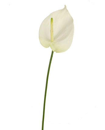 Konstgjord Anthurium 68 cm vit