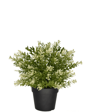 Konstgjord Buxus i kruka 23 cm UV