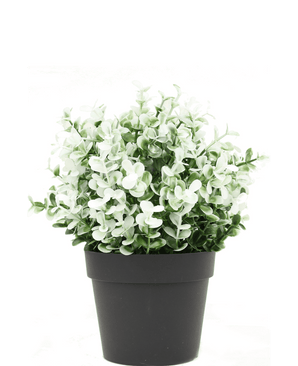 Konstgjord Buxus vit i kruka 19 cm UV