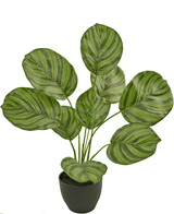 Konstgjord Calathea 48 cm i prydnadskruka svart