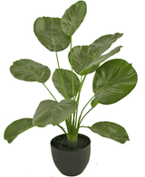 Konstgjord Calathea 58 cm grön i dekorativ kruka svart