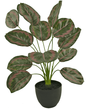 Konstgjord Calathea 58 cm grön/röd i dekorativ kruka svart