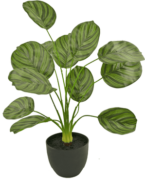 Konstgjord Calathea 58 cm mörkgrön i dekorativ kruka svart