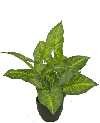 Konstgjord Dieffenbachia 40 cm i dekorativ kruka svart