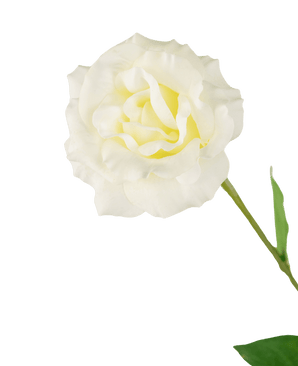 Konstgjord Eustoma Real Touch Vit 72cm