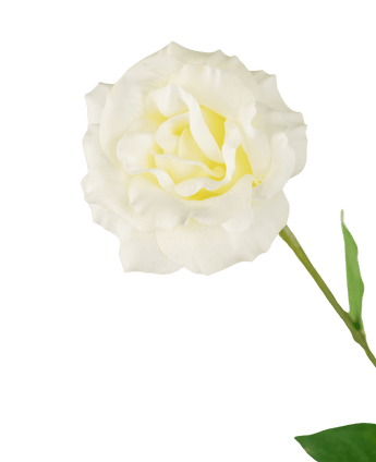 Konstgjord Eustoma Real Touch Vit 72cm