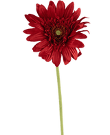 Konstgjord Gerbera 53 cm röd