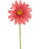 Konstgjord Gerbera 55 cm rosa