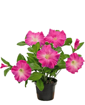 Konstgjord Petunia växt 25 cm mörkrosa